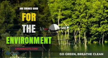 Drones and Ecology: Uncovering Their Environmental Impact and Benefits