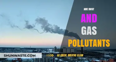 Dust and Gas: Harmful Air Pollutants?