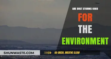 Dust Storms: Environmental Hazard or Unexpected Ecological Blessing?