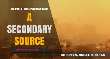 Dust Storms: Secondary Pollution Sources?