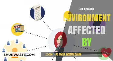 How External Factors Shape and Transform Dynamic Environments Over Time