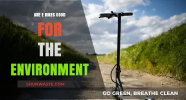 E-Bikes: Eco-Friendly Transportation or Environmental Hype?
