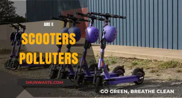 Electric Scooters: Green or Polluting Menace?