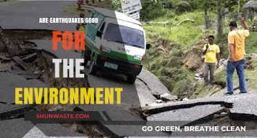 Earthquakes' Environmental Impact: Do They Benefit Our Planet?