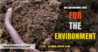 Earthworms: Unsung Heroes of Soil Health and Ecosystem Balance