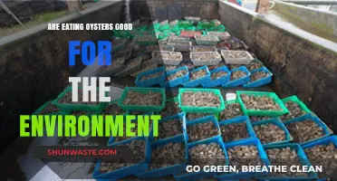 Oysters' Eco-Impact: Sustainable Seafood or Environmental Concern?