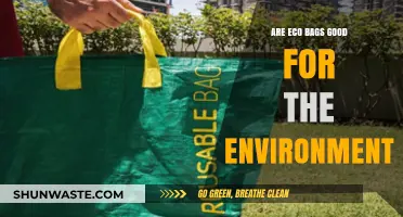 Eco Bags: Sustainable Choice or Environmental Myth? Unpacking the Truth