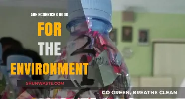 Ecobricks: Eco-Friendly Solution or Greenwashed Environmental Myth?
