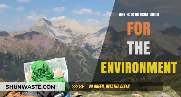 Ecotourism's Environmental Impact: Sustainable Solution or Hidden Threat?