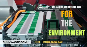 Electric Car Batteries: Eco-Friendly Solution or Environmental Challenge?
