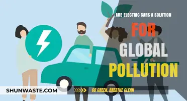 Electric Cars: Pollution Solution or Not?