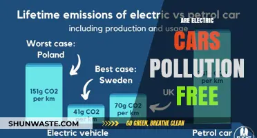 Electric Cars: Pollution-Free or Not?