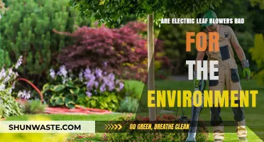 Electric Leaf Blowers: Eco-Friendly or Environmental Hazard?