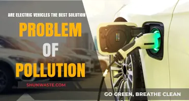 Electric Vehicles: Pollution Solution or Problem?