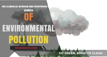 Nitrogen and Phosphorus: Environmental Pollution Sources?