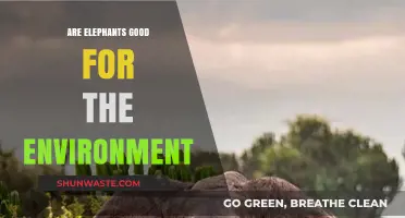Elephants' Ecological Impact: How These Giants Benefit Our Planet