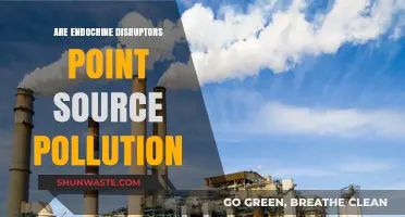 Endocrine Disruptors: Point Source Pollution's Impact