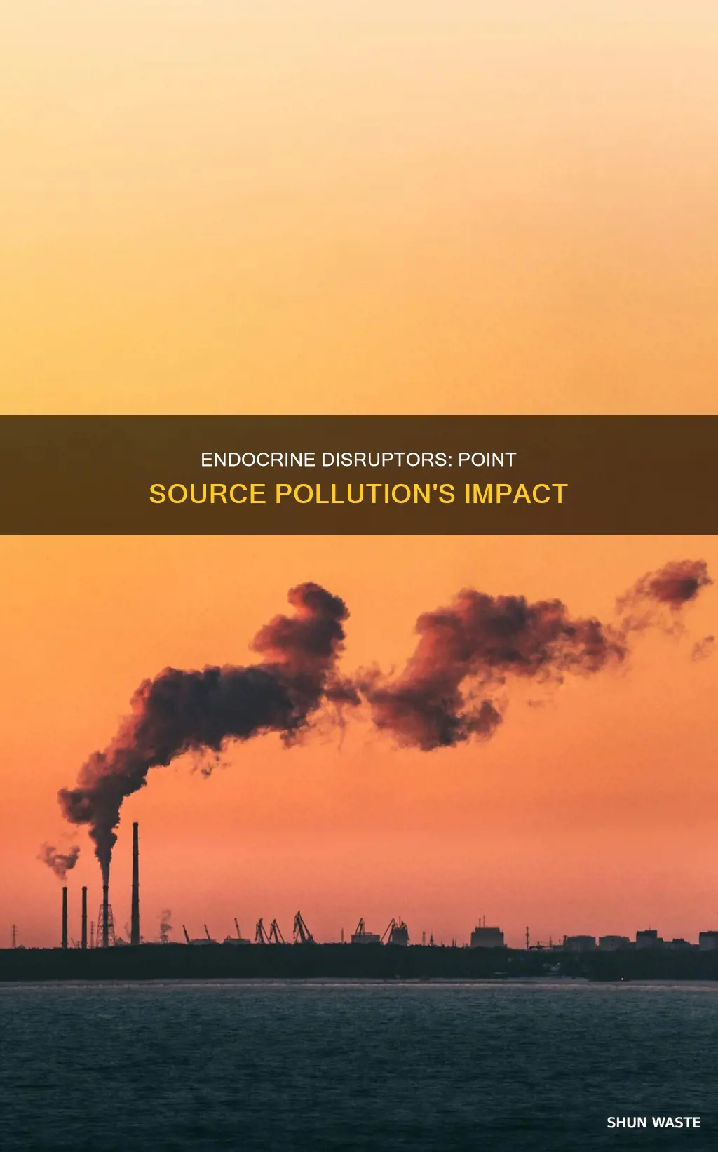 are endocrine disruptors point source pollution