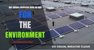 Energy Facilities: Environmental Lifeline or Ecological Threat?