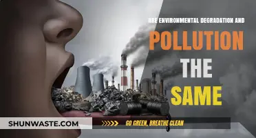 Environmental Degradation vs Pollution: What's the Difference?