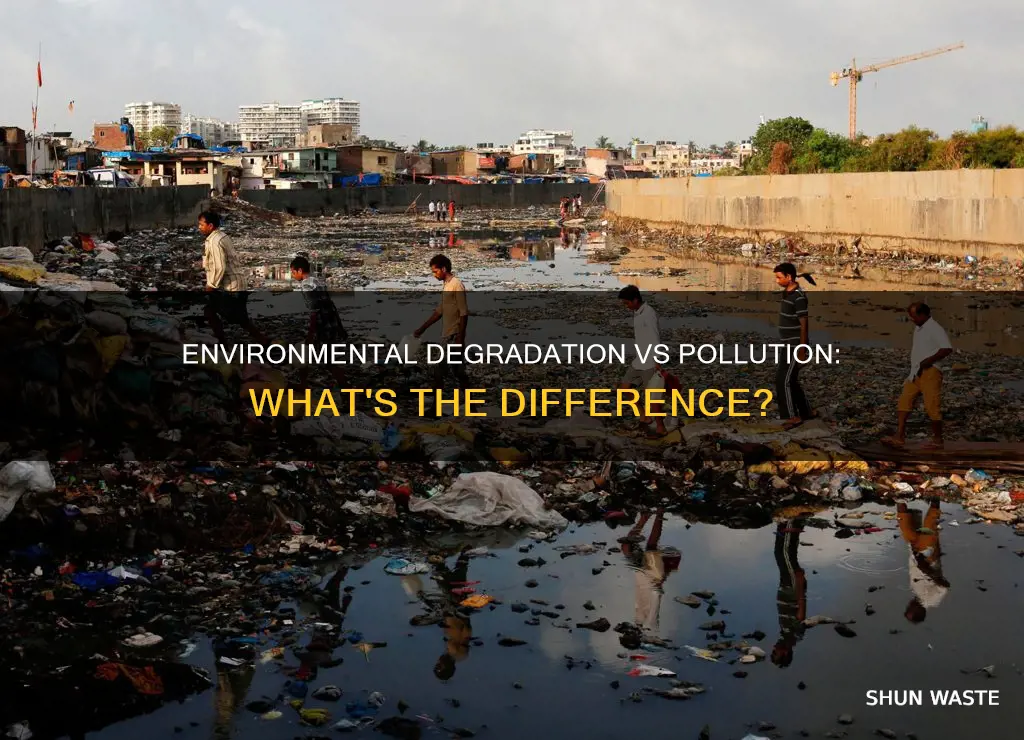 are environmental degradation and pollution the same