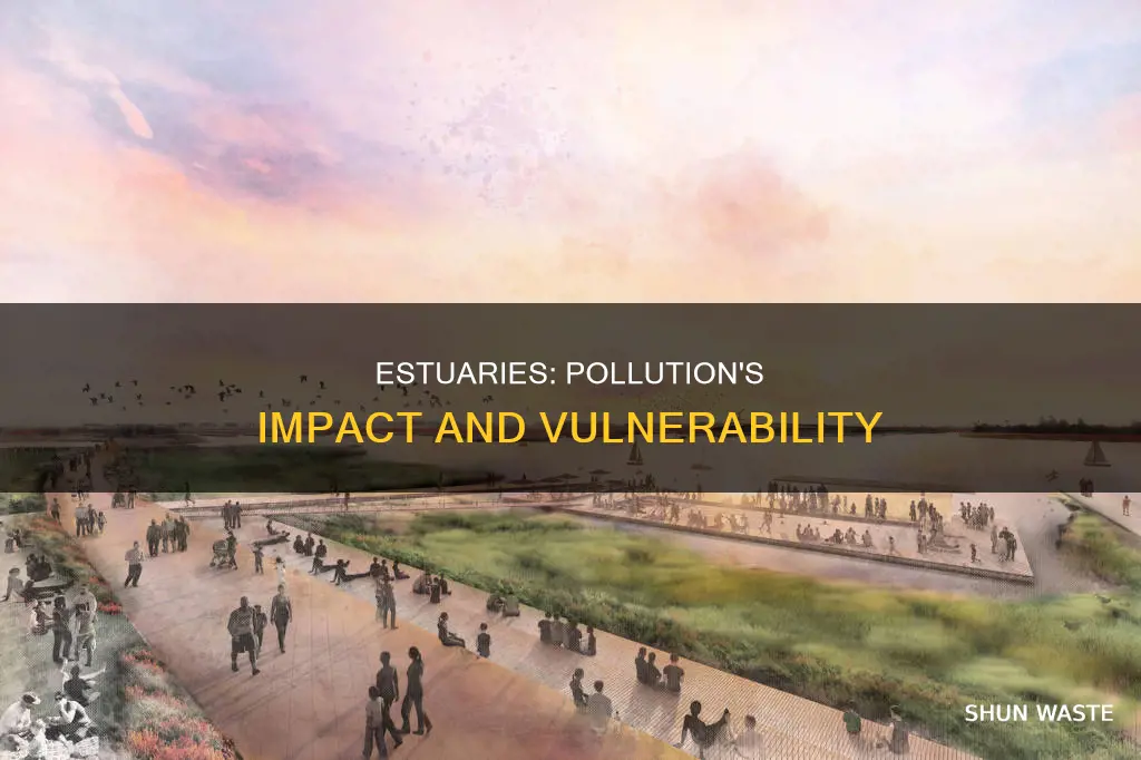 are estuaries vulnerable to pollution
