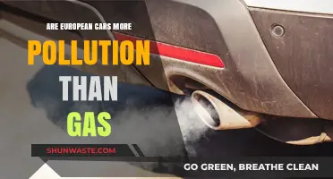 European Cars: Electric or Gas Polluters?