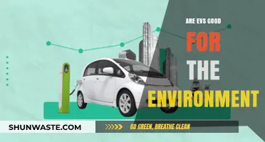 Are Electric Vehicles Truly Eco-Friendly? Uncovering Their Environmental Impact