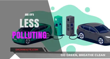The Green Energy Debate: Are EVs Less Polluting?