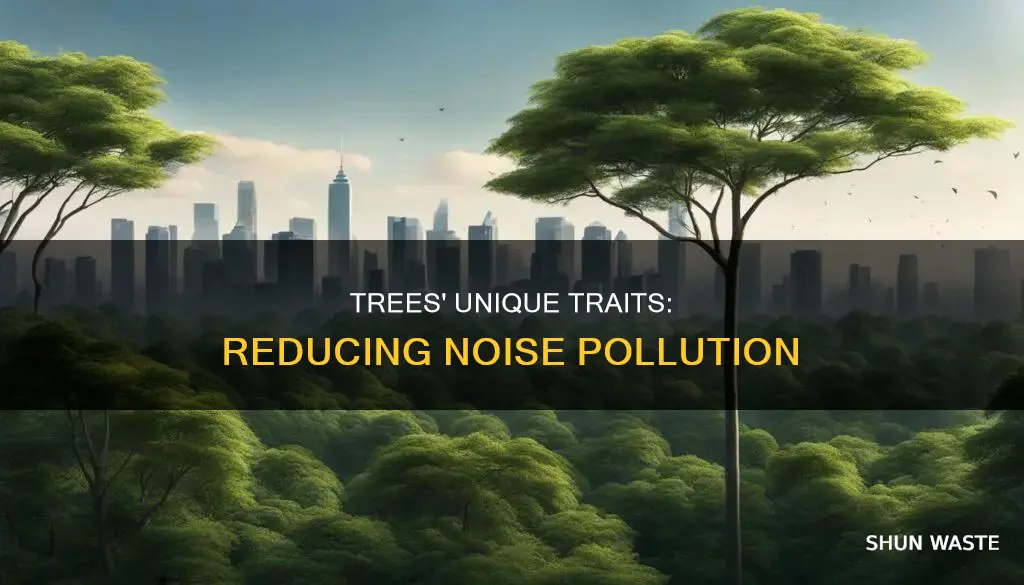 are excurrent or decurrent trees better at reducing noise pollution