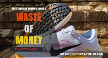 Expensive Running Shoes: Worth the Investment or Waste of Money?