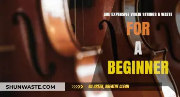 Expensive Violin Strings: Worth It or Waste for Beginners?
