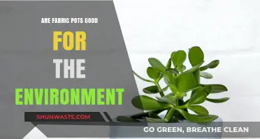 Eco-Friendly Gardening: Are Fabric Pots Sustainable for the Environment?