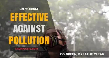 Face Masks: Pollution Protection or Pointless?