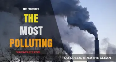 The Dark Side of Factories: Pollution and Environmental Impact