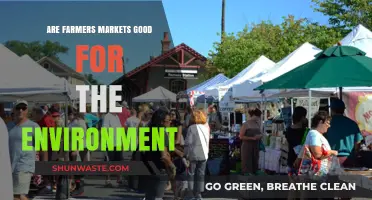 Farmers Markets: Eco-Friendly Shopping or Greenwashing Myth?
