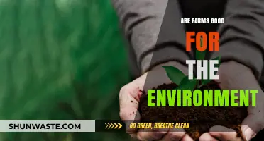Farming's Environmental Impact: Sustainable Practices vs. Ecological Challenges