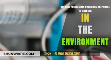 Fast Predictable Automatic Responses: How We Adapt to Environmental Changes