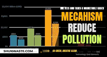 Fees, Taxes, and Pollution: Market-Based Solutions?