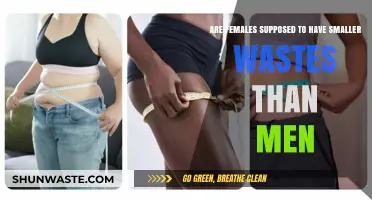 Gender and Waist Size: Debunking Myths About Female and Male Bodies