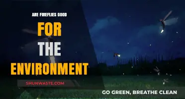 Fireflies' Environmental Impact: Beneficial or Just Bioluminescent Bugs?