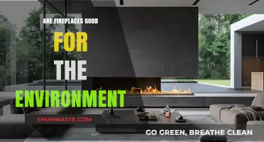 Eco-Friendly Heating: Are Fireplaces Environmentally Sustainable?