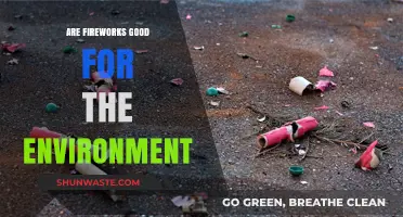 Fireworks' Environmental Impact: Celebrating Safely or Harming Nature?
