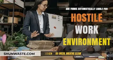 Are Firms Automatically Liable for Hostile Work Environments?