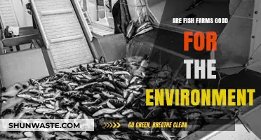 Fish Farms and the Environment: Sustainable Solution or Ecological Risk?