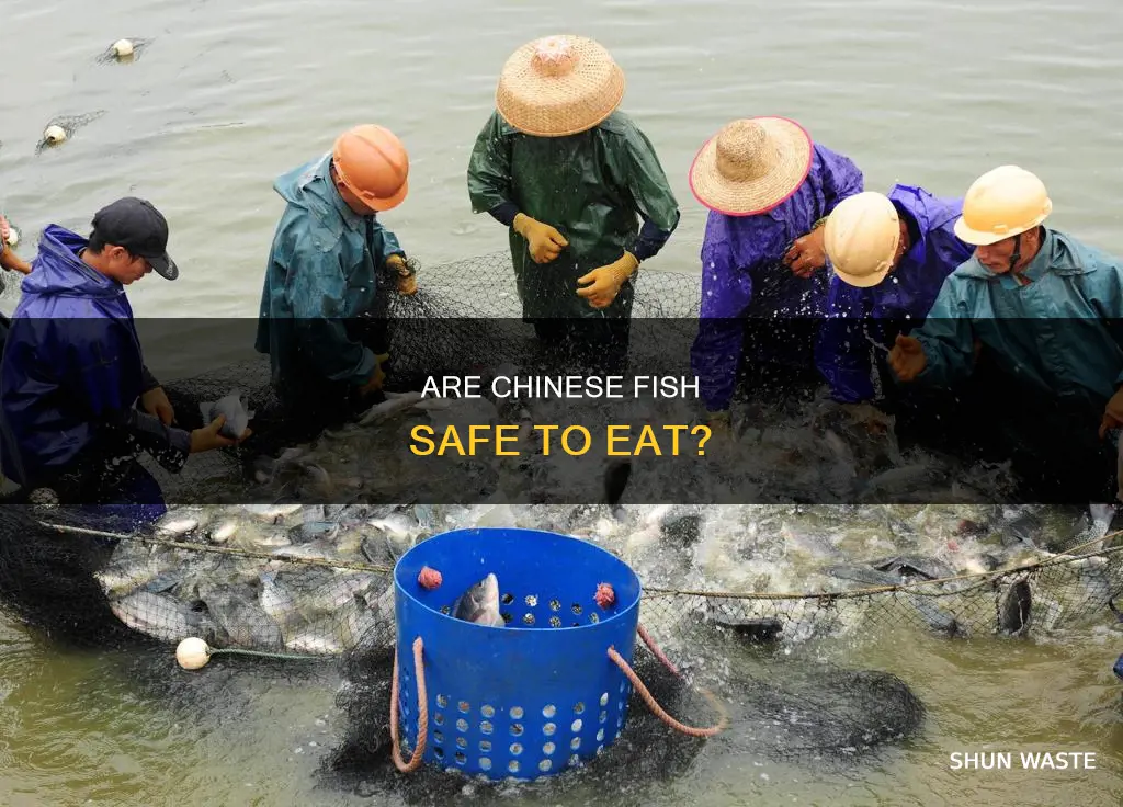 are fish from china