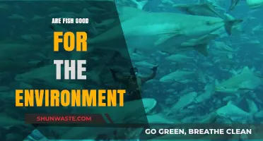 Fish and the Environment: Uncovering Their Eco-Friendly Impact and Role