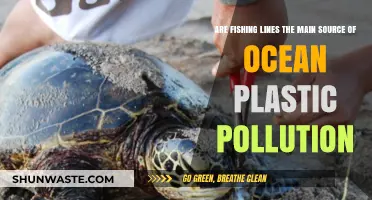 Fishing Lines: Ocean Plastic Pollution's Main Culprit?