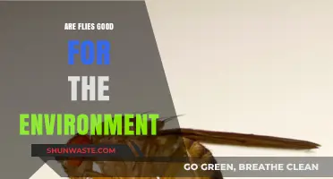 Flies' Surprising Role: Environmental Allies or Just Annoying Pests?