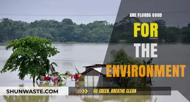 Floods' Environmental Impact: Are They Beneficial or Destructive?